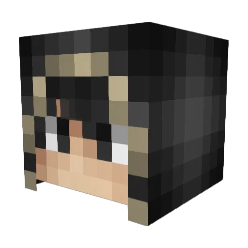 Ryizxd Minecraft avatar head, 3D render