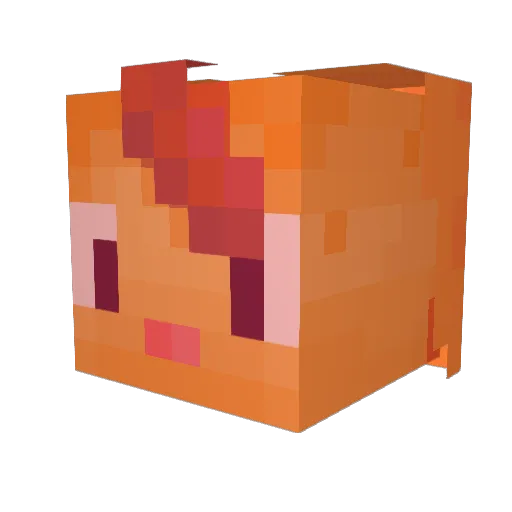 RykaWodzy Minecraft avatar head, 3D render