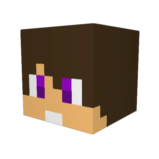 Ryker_Dude Minecraft avatar head, 3D render