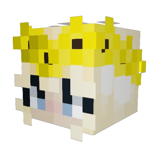 Ryketjie Minecraft avatar head, 3D render