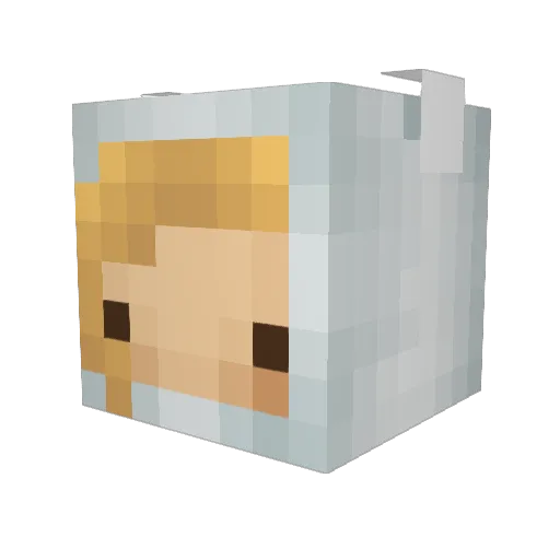 RykiTyki Minecraft avatar head, 3D render
