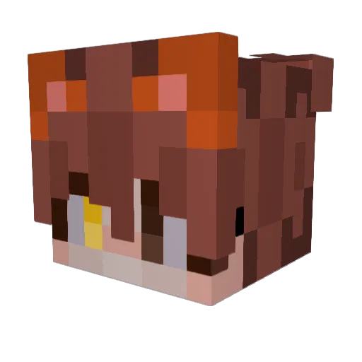 Rykins Minecraft avatar head, 3D render
