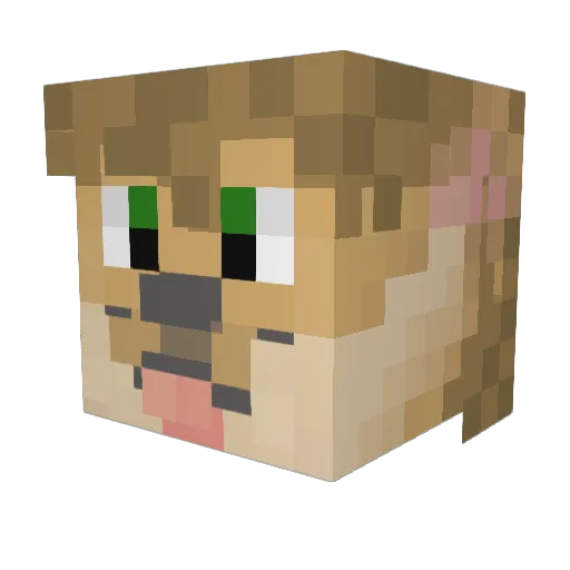 Rykiosan Minecraft avatar head, 3D render