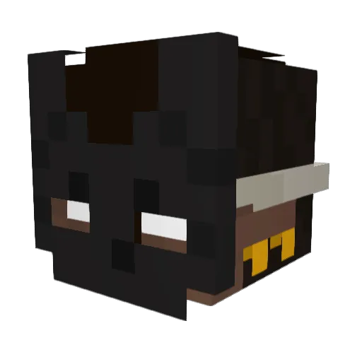 Rylan282 Minecraft avatar head, 3D render
