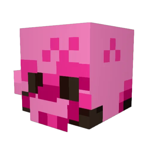 Rylan636 Minecraft avatar head, 3D render