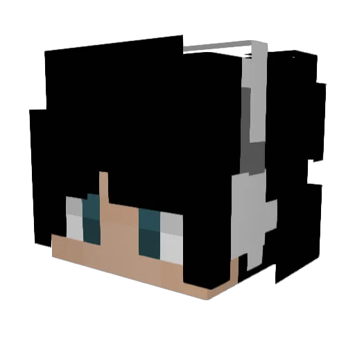 RylanIsNotSweaty Minecraft avatar head, 3D render