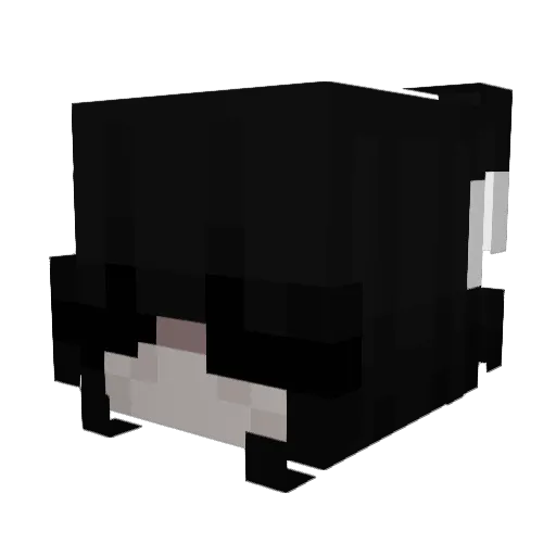Rylaze Minecraft avatar head, 3D render