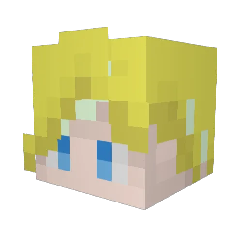 Ryle0425 Minecraft avatar head, 3D render