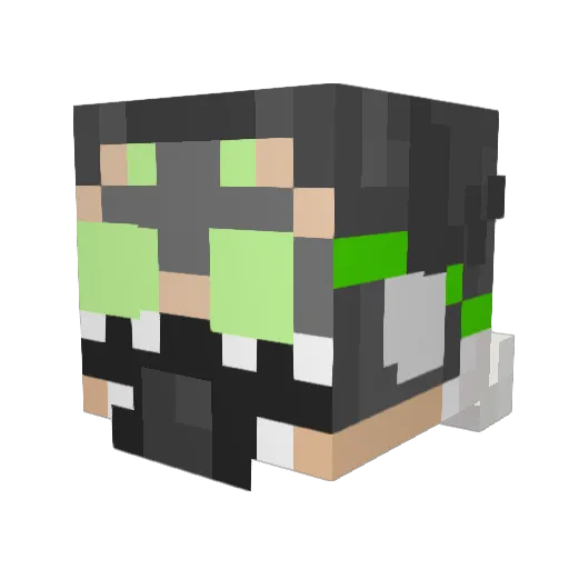 Ryle_riley Minecraft avatar head, 3D render