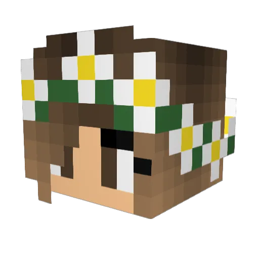 Rylee1304 Minecraft avatar head, 3D render