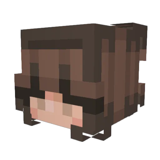 Rylee407 Minecraft avatar head, 3D render
