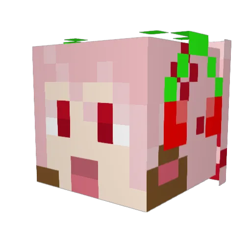 RyleeRoony Minecraft avatar head, 3D render