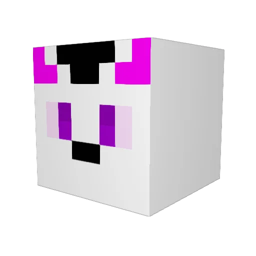 Rylee_W Minecraft avatar head, 3D render