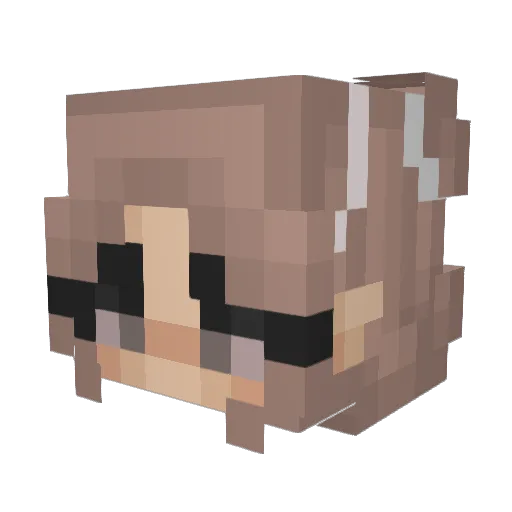 Ryleea Minecraft avatar head, 3D render
