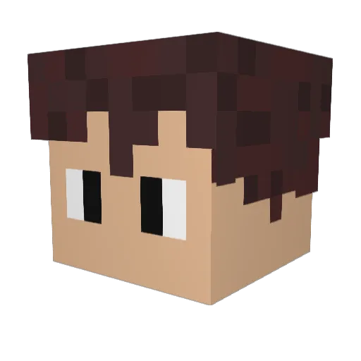 RyleeisGaming Minecraft avatar head, 3D render