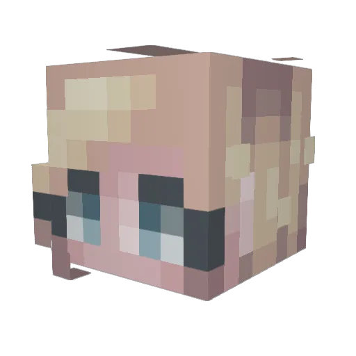 Ryleerosie Minecraft avatar head, 3D render