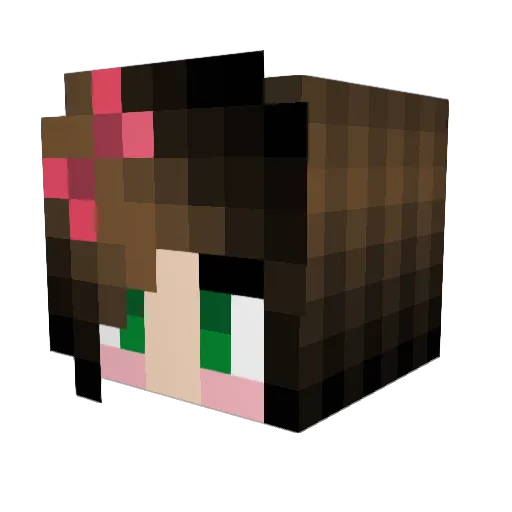 RyleighDryden Minecraft avatar head, 3D render