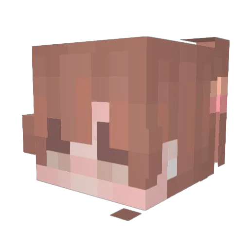 RyleighQwQ Minecraft avatar head, 3D render