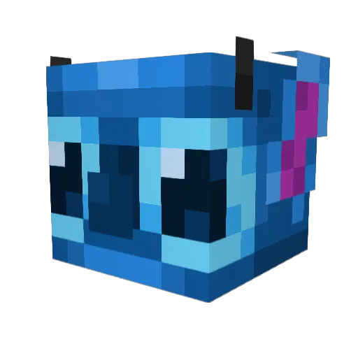 Ryley Minecraft avatar head, 3D render