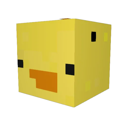 Ryley_Duck Minecraft avatar head, 3D render