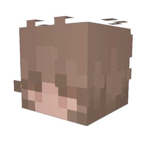 RylieB2015 Minecraft avatar head, 3D render