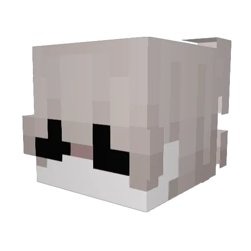 Rylkoo Minecraft avatar head, 3D render
