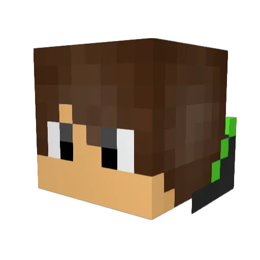 Ryllegaming Minecraft avatar head, 3D render
