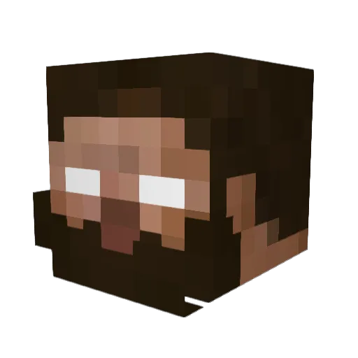 Ryllus Minecraft avatar head, 3D render