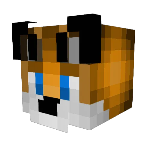 Rylorn Minecraft avatar head, 3D render