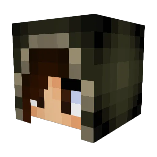 Rylowolfy Minecraft avatar head, 3D render