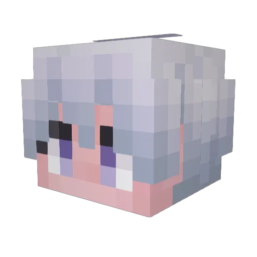 Rym1s Minecraft avatar head, 3D render