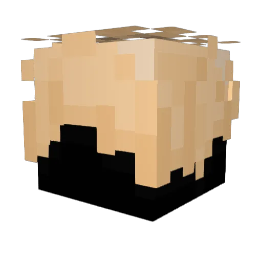 Rymeeen Minecraft avatar head, 3D render