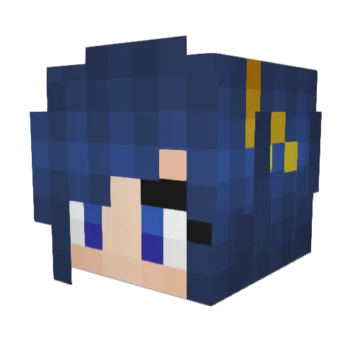 Rymie Minecraft avatar head, 3D render