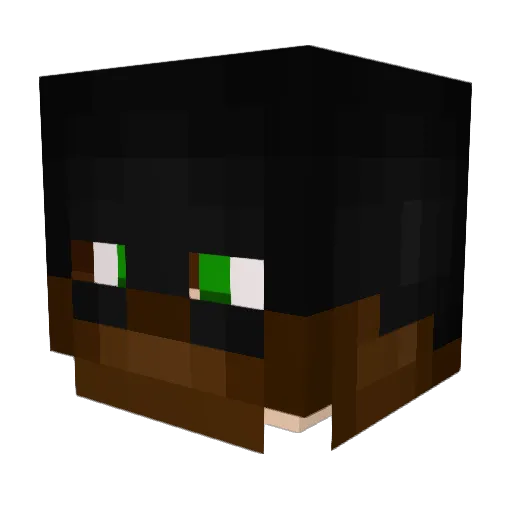 Rymlx Minecraft avatar head, 3D render