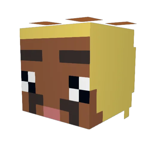 Rymmyy Minecraft avatar head, 3D render