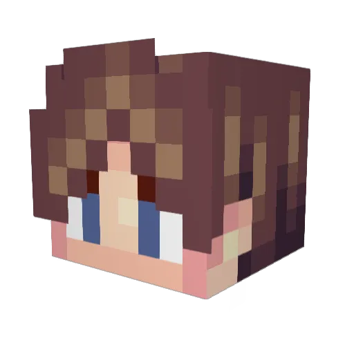 Rymoneid Minecraft avatar head, 3D render