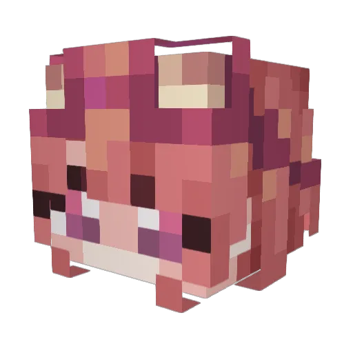 RynKurogane Minecraft avatar head, 3D render