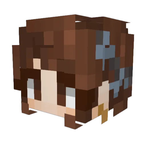 RynRyn0 Minecraft avatar head, 3D render