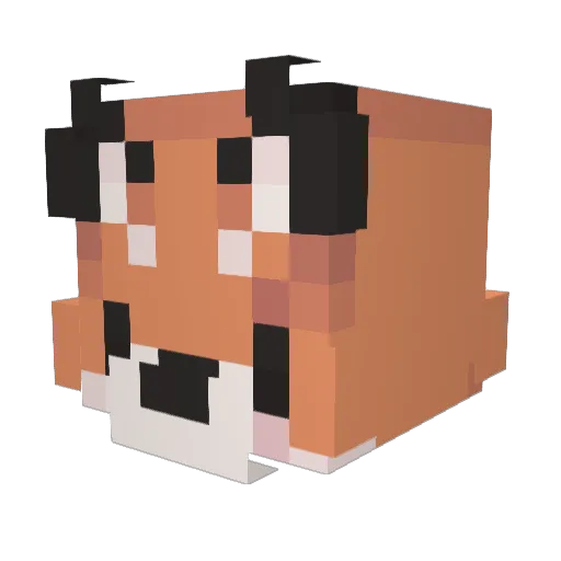 Ryn_Rynie Minecraft avatar head, 3D render