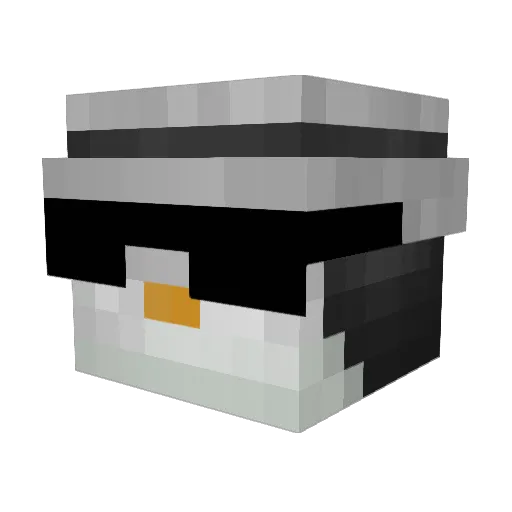 Ryn_Tail Minecraft avatar head, 3D render