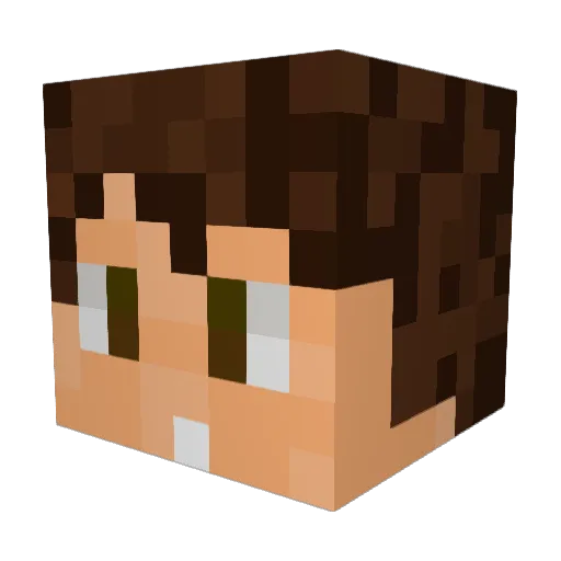 Rynacerous Minecraft avatar head, 3D render