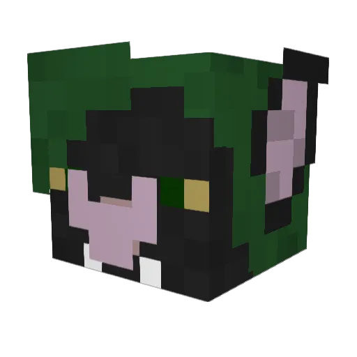 Rynatia Minecraft avatar head, 3D render