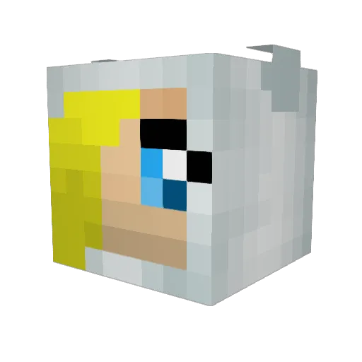 Rynchus Minecraft avatar head, 3D render