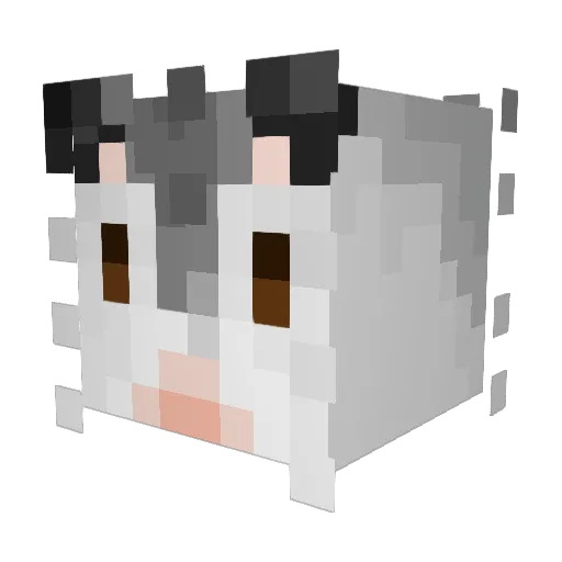RynciscO Minecraft avatar head, 3D render