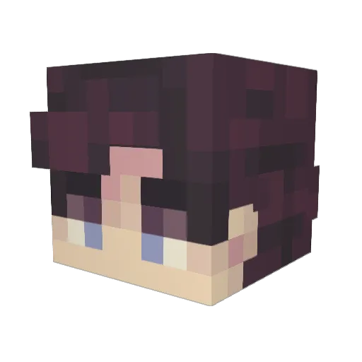 Rynfinity Minecraft avatar head, 3D render