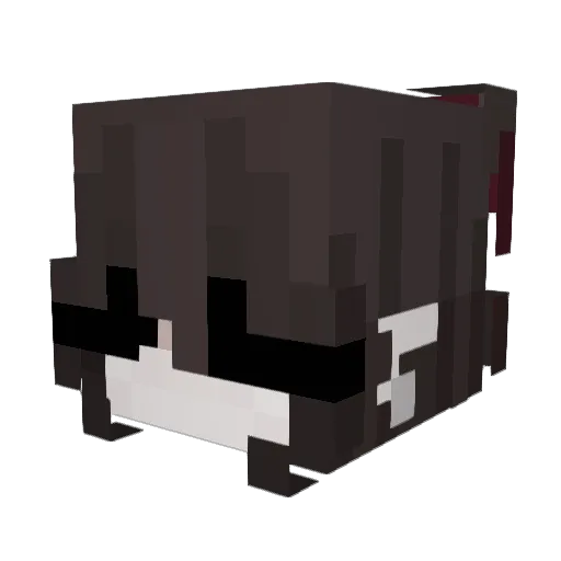 Rynn_n Minecraft avatar head, 3D render
