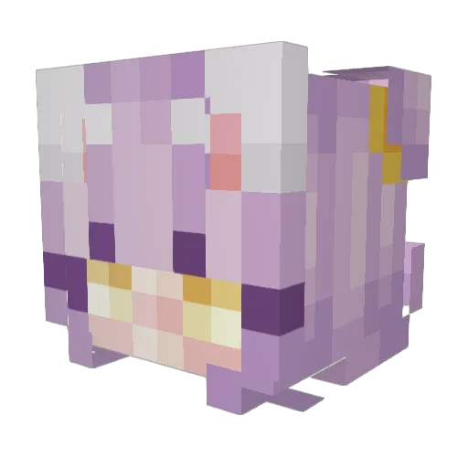 Rynnegade Minecraft avatar head, 3D render