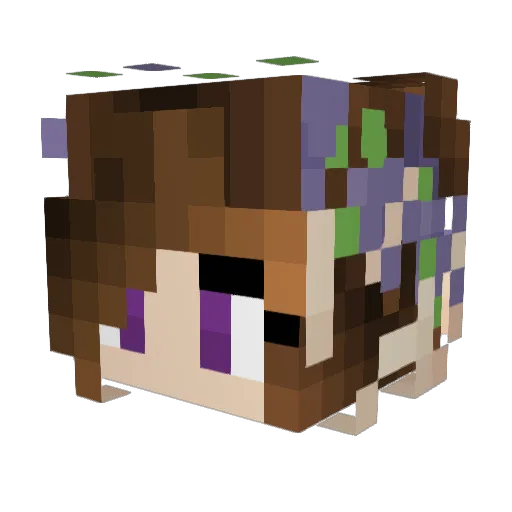 Rynnnnnnnn Minecraft avatar head, 3D render