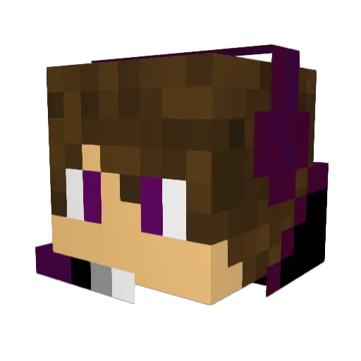 RynoDaGunz_TTV Minecraft avatar head, 3D render