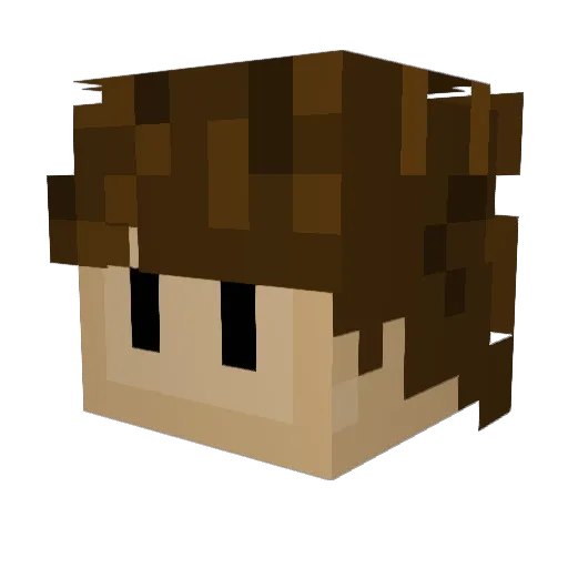Rynogt Minecraft avatar head, 3D render